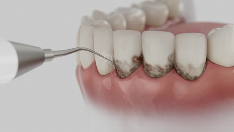 Reliable Dental contractor in New Middletown, OH by Dentist Open Now